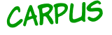 Anti-spam image