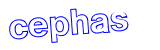 Anti-spam image