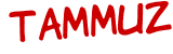 Anti-spam image