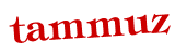 Anti-spam image