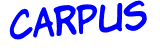 Anti-spam image